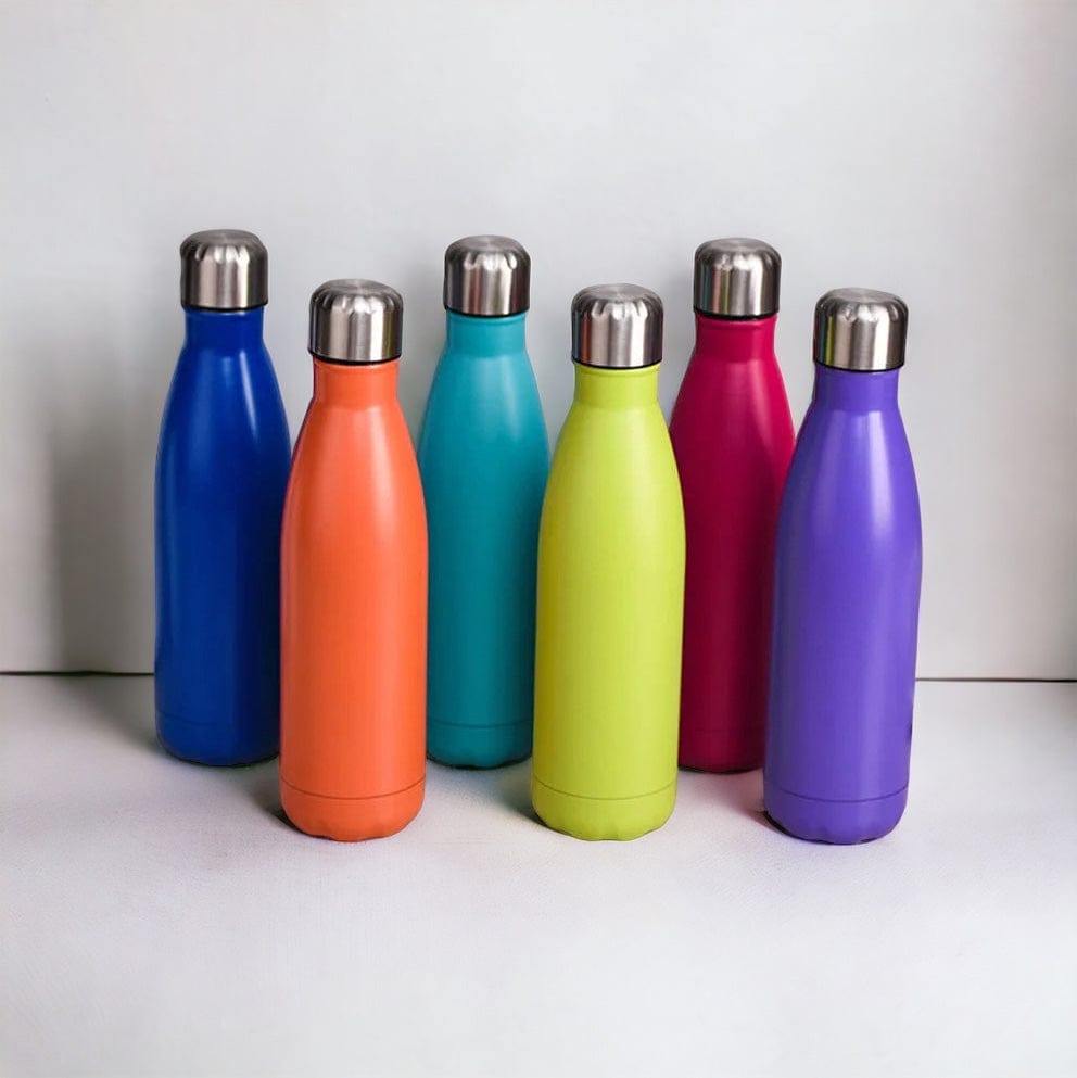isothermal bottle "classical" in colors
